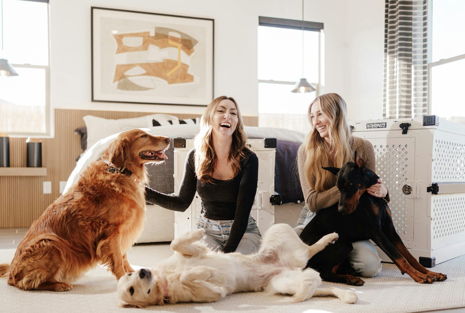 pet-safe house cleaning NYC pet owners
