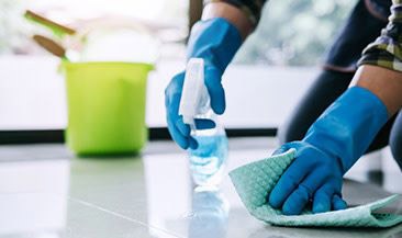 Standard Cleaning